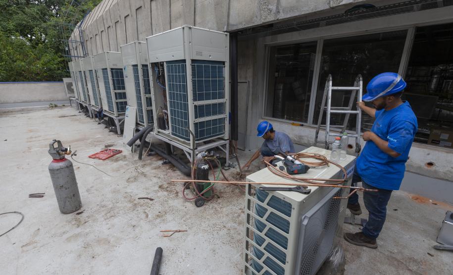 Paraná se prepara para fornecer insumos para saúde animal a todo o país