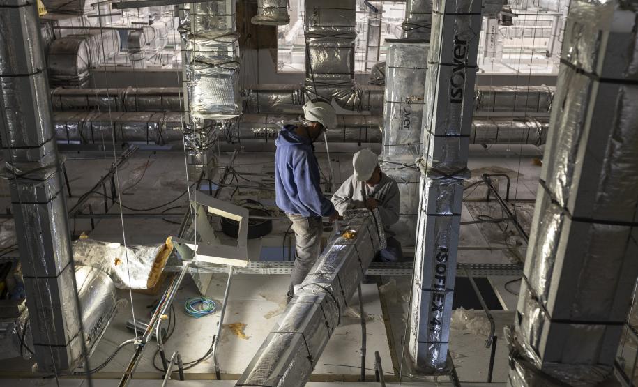 Paraná se prepara para fornecer insumos para saúde animal a todo o país