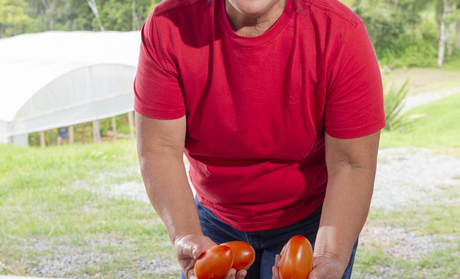 Liderança nacional do Paraná na produção de orgânicos tem certificação do Tecpar