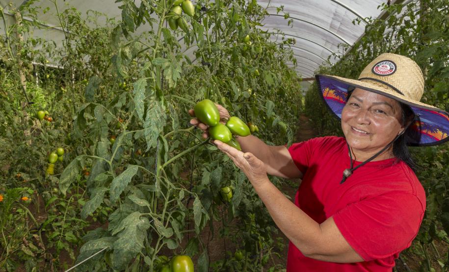 Liderança nacional do Paraná na produção de orgânicos tem certificação do Tecpar
