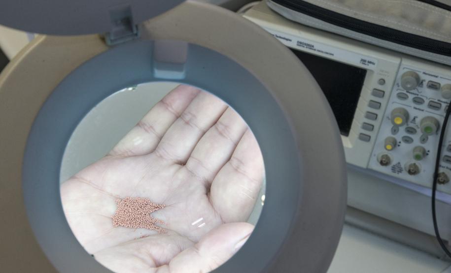 Startup incubada pelo Tecpar aposta em tecnologia que promete transformar produção farmacêutica no Brasil