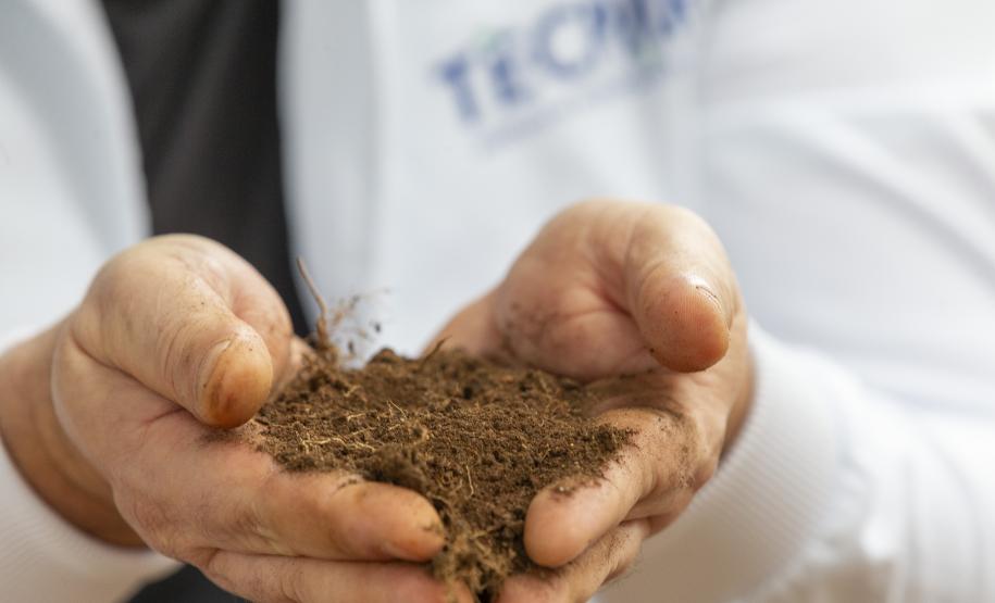 Tecpar amplia estratégias para abordagem que integra saúde humana, animal e ambiental