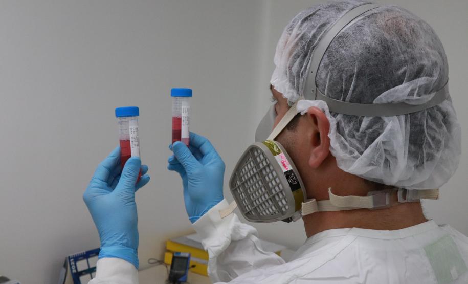 Tecpar amplia estratégias para abordagem que integra saúde humana, animal e ambiental
