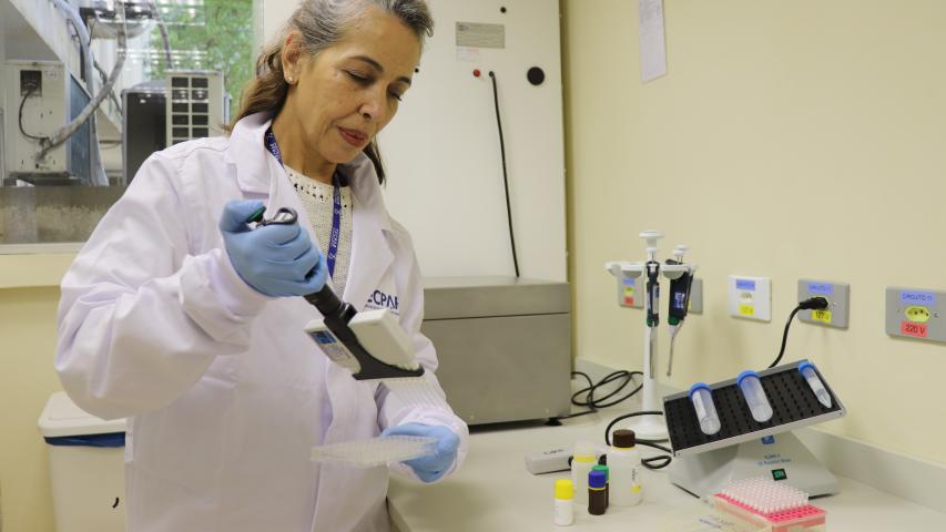 Laboratório de análise de glúten do Tecpar